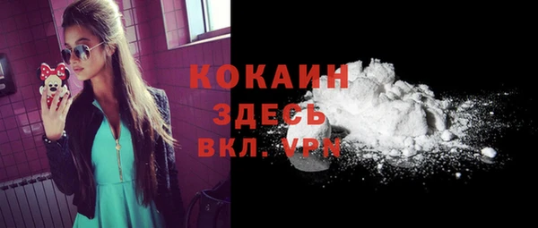 ALPHA PVP Каменка