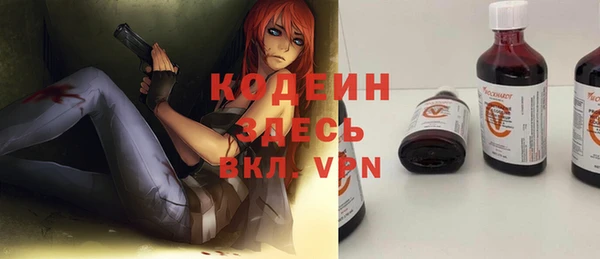 хмурый Каменногорск