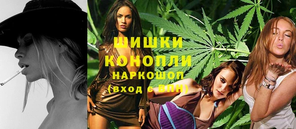 хмурый Каменногорск