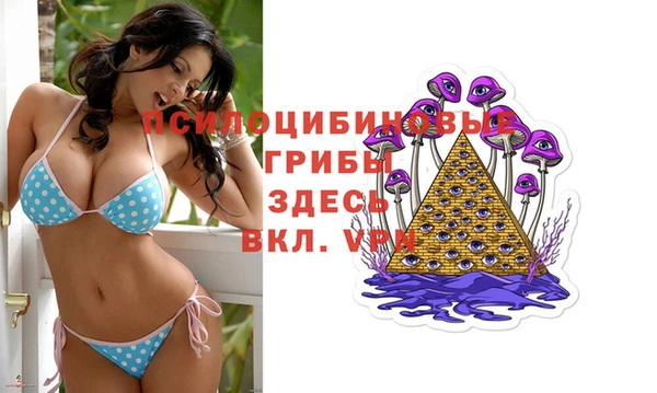 бошки Каменск-Шахтинский