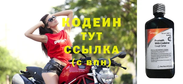 хмурый Каменногорск
