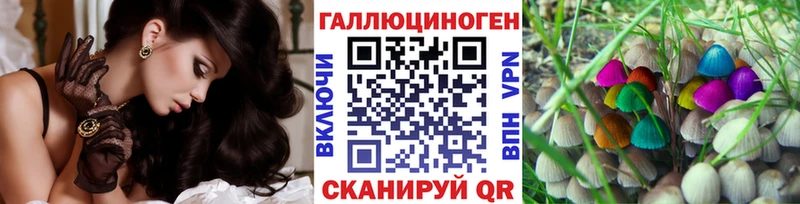 Купить где  Малоархангельск  Псилоцибиновые грибы Psilocybine cubensis 